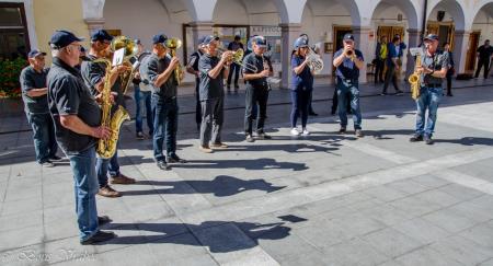 Trgatev stare trte s Saro Čopar 9